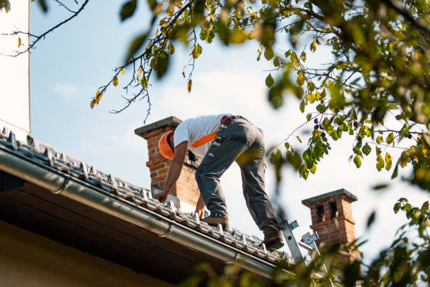 Best Roof Maintenance Services  in Weyauwega, WI