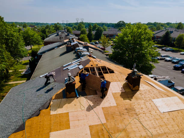 Best Flat Roof Repair Services  in Weyauwega, WI