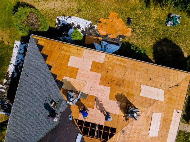 Best Local Roofing Companies  in Weyauwega, WI